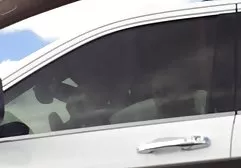 گربه مرطوب زیبایی جوان توسط یک روان کننده الاستیک اینستاگرام کلیپ های سکسی مشت زده شده است