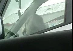راننده فيلم هاي سكسي داستاني تاکسی دمار از روزگارمان درآورد passenger slutty در ماشین
